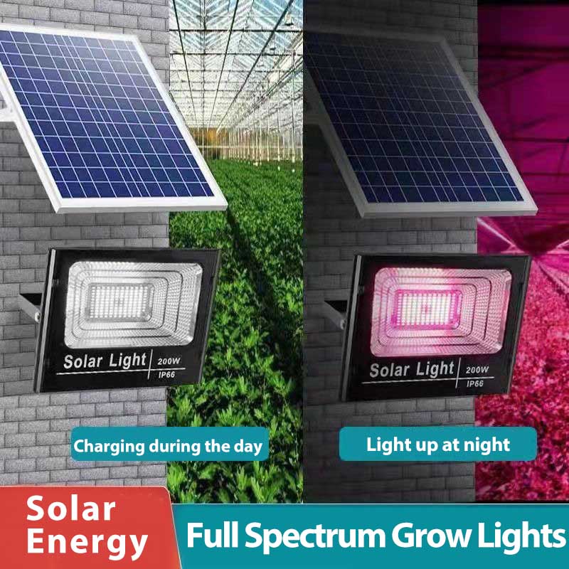 Renewable Energy Project - Solar Powered LED Plant Grow Lights