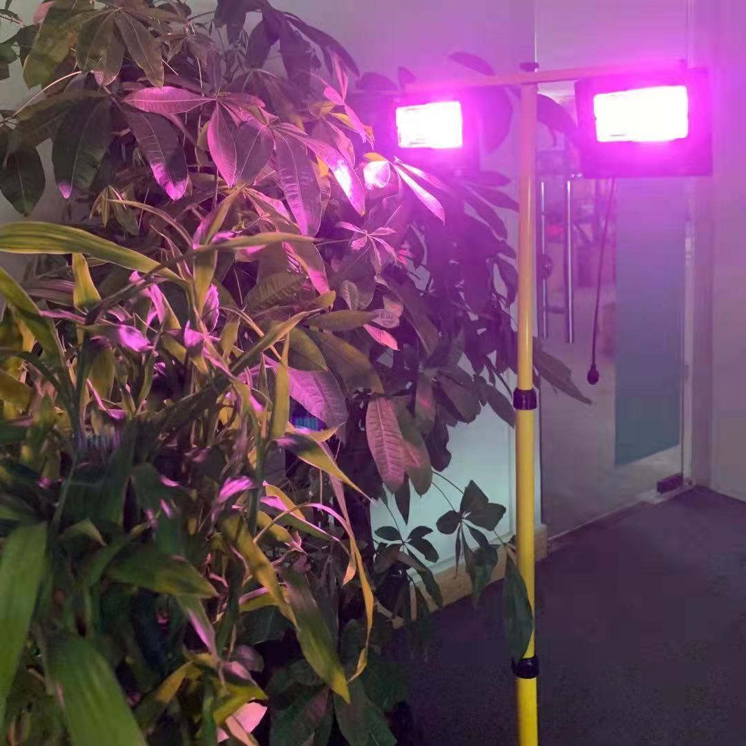 Solar Powered LED Plant Grow L - огляд і ціна Renewable Energy Project